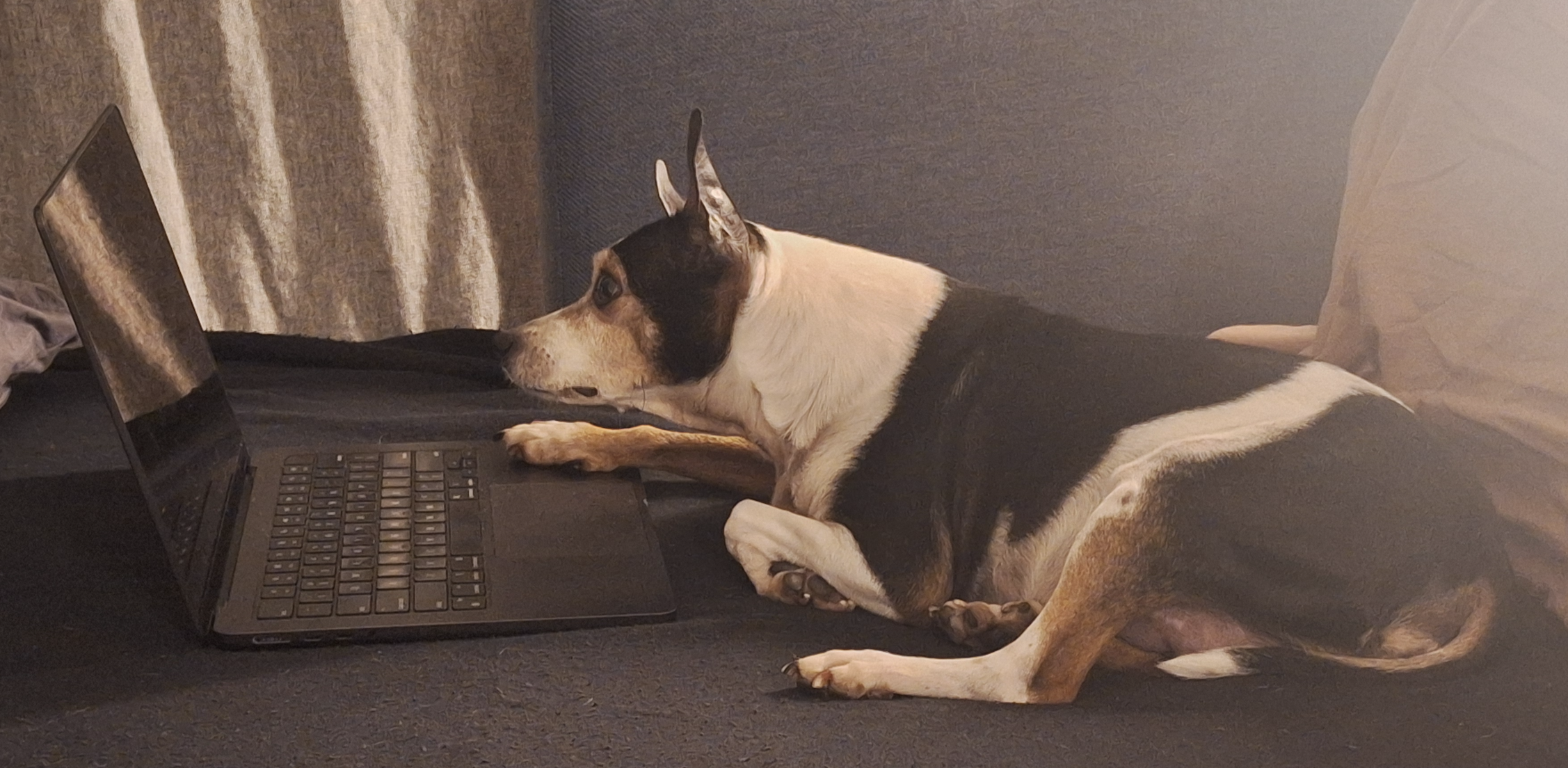 Bruce, supervising canine